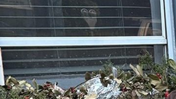 ICE ha realizado operativos a nivel nacional.