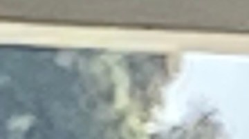 Estudiantes de la secundaria Stephen M. White Middle School, de Carson y millones mas resultarían perjudicados si el presidente Trump recorta fondos a la educación.