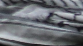 Miembros de la organización Unión del Barrio son parte de la 'patrulla comunitaria'.