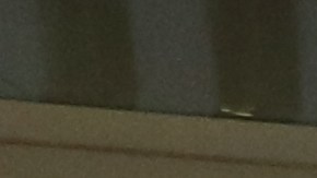 “Trump, ningún ser humano es ilegal en tierra robada”, señalaron los protestantes.