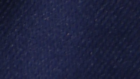 Petra Lucero, una mujer poblana de 59 años y madre de cuatro hijos, aunque ya es ciudadana estadounidense, se ha unido a la causa de los inmigrantes.