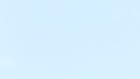 Amigos y familiares se reunieron en el hogar asaltado por agentes federales de HSI, que buscaban a un presunto colaborador de una red de trata de personas. Arrestaron a la persona equivocada.