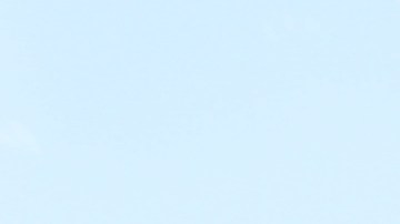 Amigos y familiares se reunieron en el hogar asaltado por agentes federales de HSI, que buscaban a un presunto colaborador de una red de trata de personas. Arrestaron a la persona equivocada.