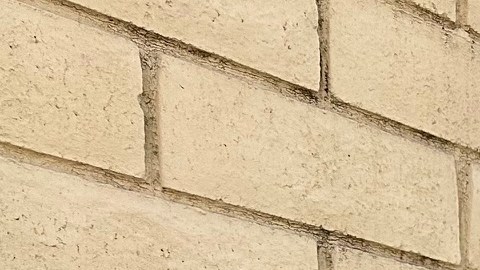 Yasmany y Johny López escogen el 14 de febrero para unir sus vidas en matrimonio.