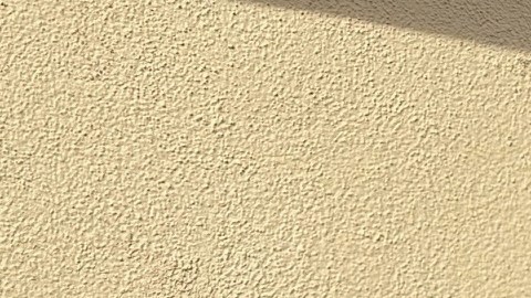 Pedro Rodríguez con su perrito Taladro regresa a México.