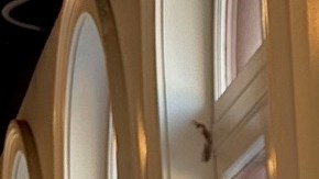 Soudy JIménez presenta su libro Ecos Migrantes.