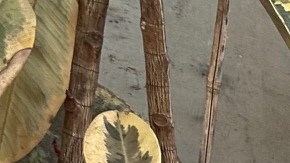 Guido Kohn, sobreviviente de los ataques del 7 de octubre en Israel.