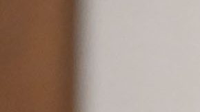 Diego Cocca hizo bicampeón al Atlas y tuvo un paso fugaz por la selección mexicana.