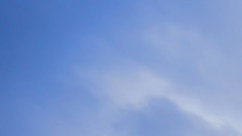 Ciudad de México, 23 de agosto de 2023. Panorámica del estadio, durante el partido de la jornada 5 del torneo Apertura 2023 de la Liga BBVA MX, entre las Águilas del América y los Rayos del Necaxa, celebrado en el estadio Azteca. Foto: Imago7/ Eloísa Sánchez