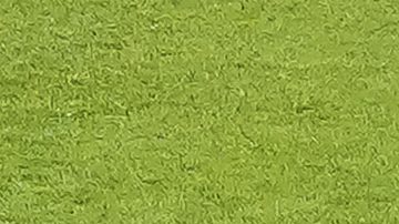 Malagón en un intercambio de palabras con Rogelio Funes Mori.