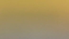 Ciudad de México, 10 de mayo de 2024. Jaime Lozano, director técnico,Duilio Davino, director de selecciones nacionales y Ricardo Cadena, director de selección Sub 23 durante una conferencia de prensa para anunciar la lista preliminar de jugadores para la Copa América 2024, celebrada en el Centro de Alto Rendimiento de la FMF. Foto: Imago7/ Etzel Espinosa