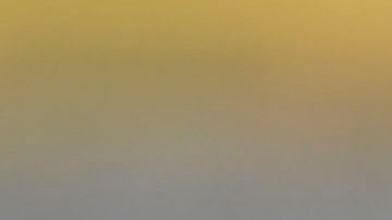 Ciudad de México, 10 de mayo de 2024. Jaime Lozano, director técnico,Duilio Davino, director de selecciones nacionales y Ricardo Cadena, director de selección Sub 23 durante una conferencia de prensa para anunciar la lista preliminar de jugadores para la Copa América 2024, celebrada en el Centro de Alto Rendimiento de la FMF. Foto: Imago7/ Etzel Espinosa