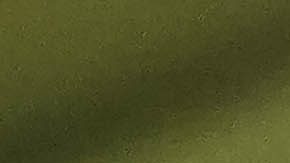 Ciudad de México. 26 de Octubre de 2024. César Huerta llegando al estadio previo al partido correspondiente a la jornada 14 del torneo Apertura 2024 de la Liga BBVA MX, entre los Pumas de la UNAM y la Maquina Celeste del Cruz Azul, disputado en el estadio Olímpico Universitario. Foto: Imago7/ Rafael Vadillo