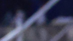 Ciudad de México, 8 de diciembre de 2024. Giorgios Giakoumakis, durante el partido de vuelta de las Semifinales del torneo Apertura 2024 de la Liga BBVA MX, entre la Máquina Celeste del Cruz Azul y las Águilas del América, celebrado en el estadio Ciudad de los Deportes. Foto: Imago7/ Manlio Contreras