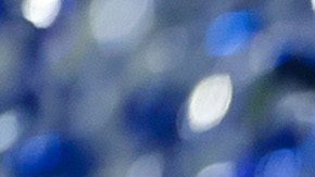 Monterrey, Nuevo León, 15 de diciembre de 2024. Henry Martín en festejo con el trofeo de campeón, durante el partido de vuelta de la Final del torneo Apertura 2024 de la Liga BBVA MX, entre los Rayados del Monterrey y las Águilas del América, celebrado en el estadio BBVA. Foto: Imago7/