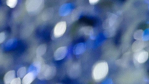 Monterrey, Nuevo León, 15 de diciembre de 2024. Henry Martín en festejo con el trofeo de campeón, durante el partido de vuelta de la Final del torneo Apertura 2024 de la Liga BBVA MX, entre los Rayados del Monterrey y las Águilas del América, celebrado en el estadio BBVA. Foto: Imago7/
