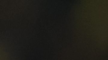 Alejandro Zendejas es uno de los jugadores estelares del Club América.