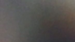 Paunovic pondría mano dura en los entrenamientos.