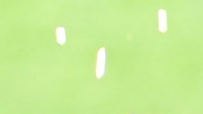 Sergio Ramos es el fichaje estrella de Rayados de Monterrey.