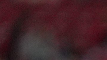 Camberos ha jugado 7 partidos con el primer equipo de las Chivas.