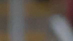 Zapopan, Jalisco, 12 de febrero de 2025. , durante el partido de vuelta de la primera ronda de la Champions Cup de la CONCACAF 2025, entre las Chivas Rayadas del Guadalajara y el Cibao FC, celebrado en el estadio Akron. Foto: Imago7/Juan Carlos Cubeyro.