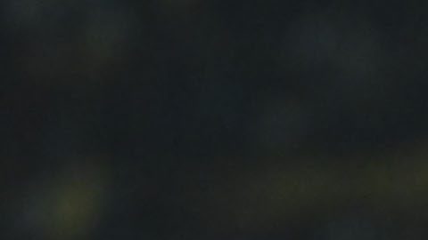 Ciudad de México, 13 de febrero de 2025. Guillermo Martínez en festejo de gol durante el partido de vuelta de la primera ronda de la Champions Cup de la CONCACAF 2025, entre los Pumas de la UNAM y el Cavalry FC, celebrado en el estadio Olímpico Universitario. Foto: Imago7/ Etzel Espinosa