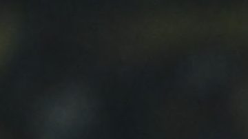 Pumas inscribió su nombre en los octavos de final.