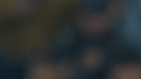 Guadalupe, Nuevo León, 22 de febrero de 2025. , durante el partido correspondiente a la jornada 8 del torneo Clausura 2025 de la Liga BBVA MX, entre los Rayados del Monterrey y el Atlético San Luis, realizado en el estadio BBVA. Foto: Imago7/