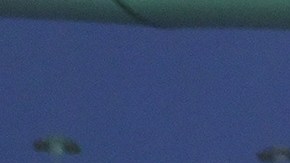 Zapopan, Jalisco, 22 de febrero de 2025. , durante el partido correspondiente a la jornada 8 del torneo Clausura 2025 de la Liga BBVA MX, entre las Chivas Rayadas del Guadalajara y los Tuzos del Pachuca, realizado en el estadio Akron. Foto: Imago7/Cristian Hernández