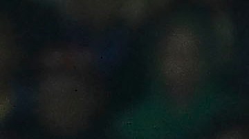 Ciudad de México, 22 de febrero de 2025. Gol de Israel Reyes durante el partido correspondiente a la jornada 8 del torneo Clausura 2025 de la Liga BBVA MX, entre los Pumas de la UNAM y las Águilas del América, realizado en el estadio Olímpico Universitario. Foto: Imago7/ Etzel Espinosa