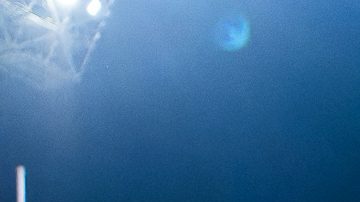 Brian Rodríguez, delantero del Club América.