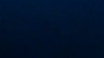 André Jardine, DT de América.