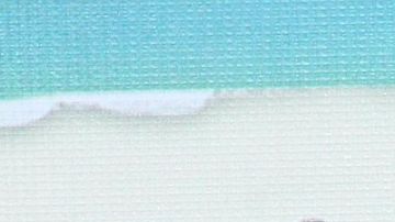 Imelda Tuñón Maribel Guardia