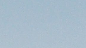 Importación de huevo en EE.UU. de Turquía