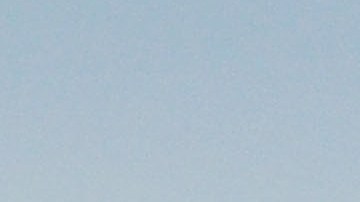 Importación de huevo en EE.UU. de Turquía