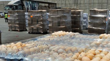 Importación de huevo en EE.UU. de Turquía