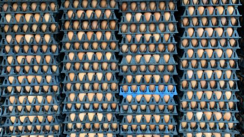 Importación de huevos EE.UU.