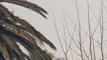 State Farm solicita incremento en tarifas a California por impacto de incendios