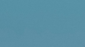 El piloto ha sido puesto en licencia indefinida mientras las autoridades proceden con el asunto