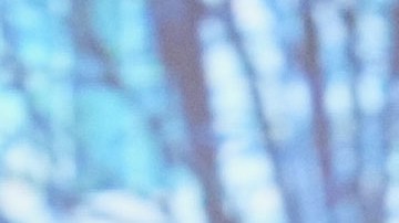 Joe Biden, expresidente estadounidense