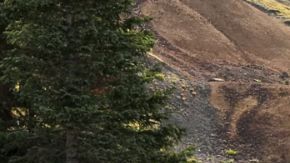 La Toyota Tacoma 2025