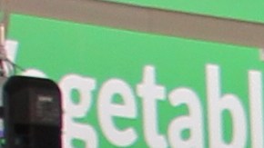 La confianza del consumidor en EE.UU. cayó en febrero, según un nuevo informe