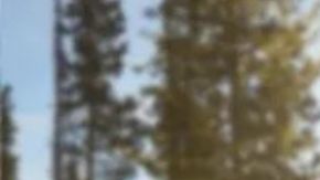 La espectacular edición limitada de la Jeep Wrangler 4xe Backcountry 2025