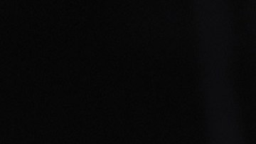 Lara Lea Trump, nuera del presidente de la nación