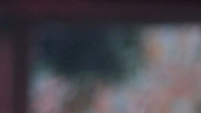 Lucero Lucerito Mijares cumpleaños