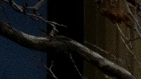 A demonstrator waves Mexican flags as they march during a rally to protest President Trump politics on Presidents Day Monday, Feb. 17, 2025, in Los Angeles. (AP Photo/Etienne Laurent)