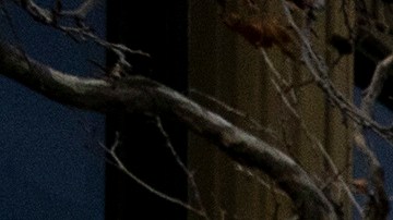A demonstrator waves Mexican flags as they march during a rally to protest President Trump politics on Presidents Day Monday, Feb. 17, 2025, in Los Angeles. (AP Photo/Etienne Laurent)