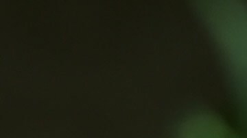 Misofonía: qué es y por qué se vincula con la ansiedad y la depresión