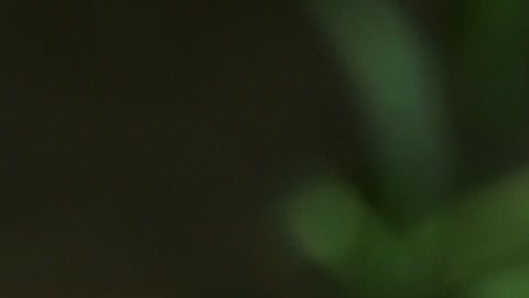 Misofonía: qué es y por qué se vincula con la ansiedad y la depresión