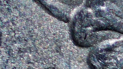 Monedas de 25 centavos